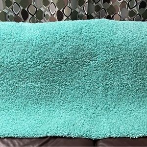 light teal, plush rug 35” x 56” 
Good condition 
Just cleaned 
Rubber backing